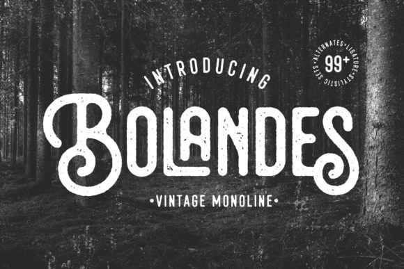 Bolandes Vintage Display Font for Campaign Branding