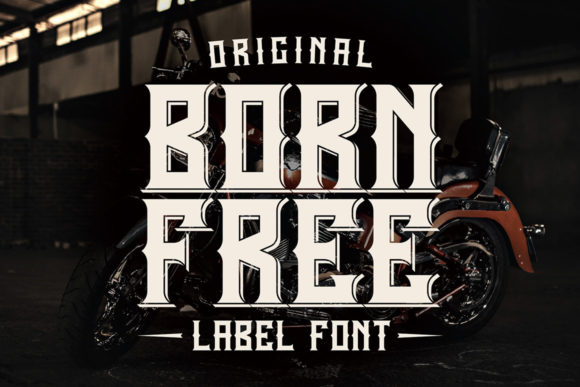 Born Free: A Retro Display Font for Bold Editorial Design