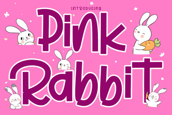 Pink Rabbit: A Premium Display Font for Modern Web Design